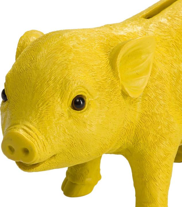 Image du produit BYYU Piggy