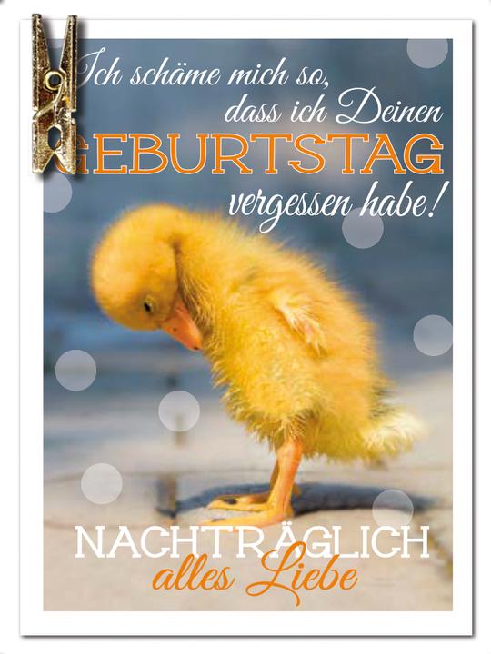 Produktbild Braun + Company Klammer Geburtstag (1 Stk.)