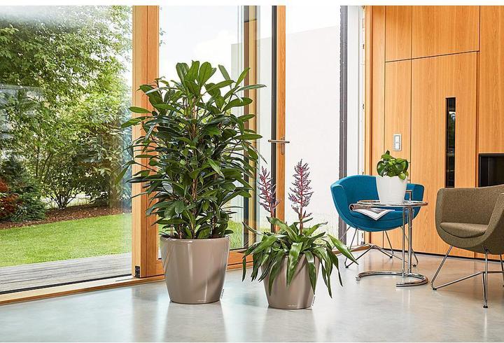 Image du produit Lechuza Classico (36 x 32.50 cm)