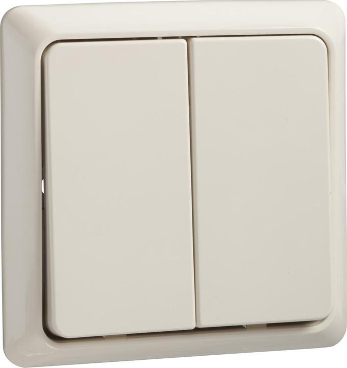 Pearl white RAL number (similar) 1013