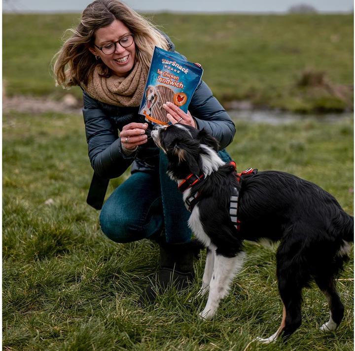 Actual product image Nobby Dog snack (Adult, 24 pcs., 80 g)