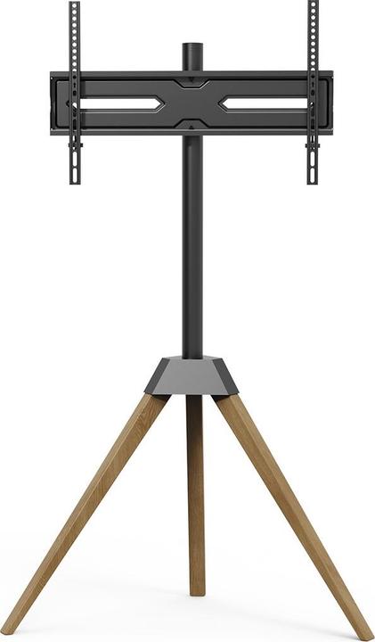 Audioraq Pied de TV (65", 45 kg)