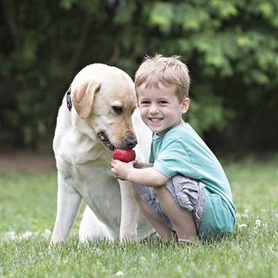 Produktbild KONG Classic (Futterspielzeug Hund, Kauspielzeug Hund, Apportieren)