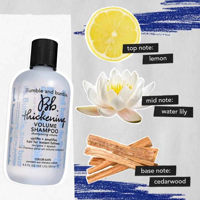 Actual product image Bumble and bumble Shampoo Thickening Volume Shampoo 1000 ml (Liquid shampoo, 1000 ml)