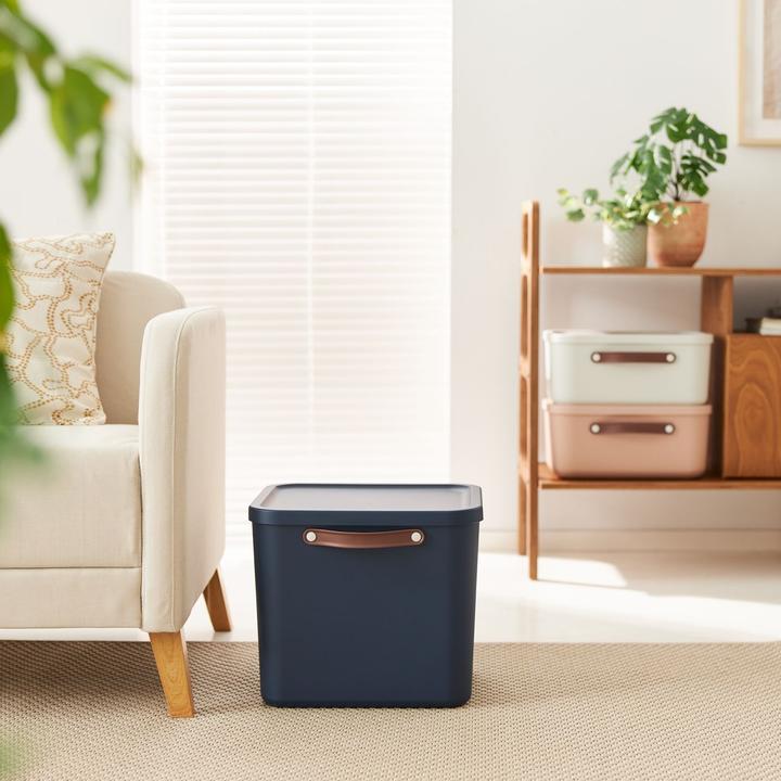 Actual product image Rotho Storage box Maloja 40 l, Iron red (40 l)
