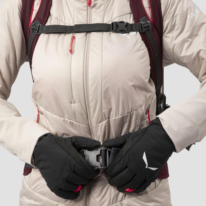 Actual product image Salewa Winter Mate L Backpack Da (28 l)