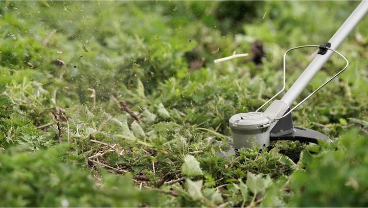 Immagine prodotto Bosch Home & Garden AdvancedBrushCut 36V-23-750 (Filo di taglio)