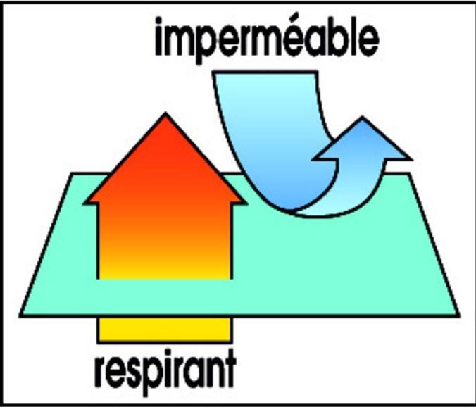 Immagine prodotto La Redoute Interieurs dermaleina (80 x 200 cm)