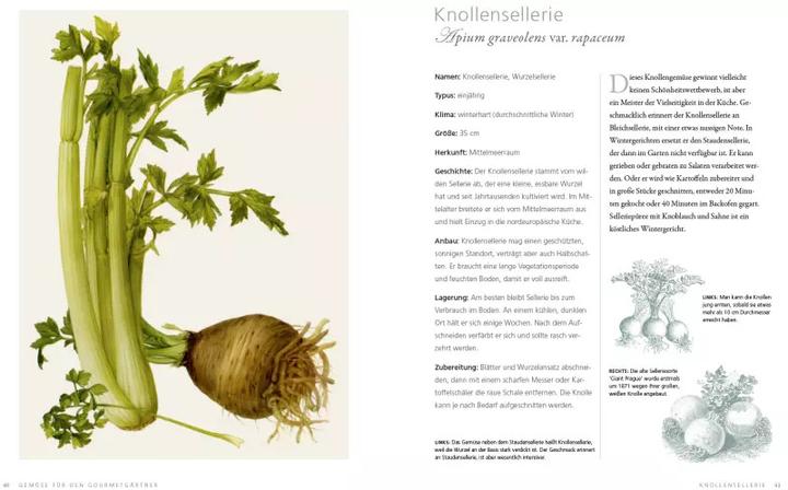 Produktbild Gemüse für den Gourmetgärtner (Deutsch, Simon Akeroyd, 2016)