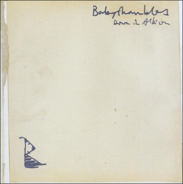 Produktbild Down In Albion (Babyshambles, 2015)