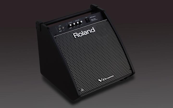 Actual product image Roland PM-200 Personal Monitor