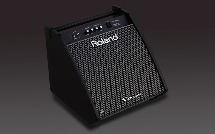 Produktbild Roland PM-200 Personal Monitor