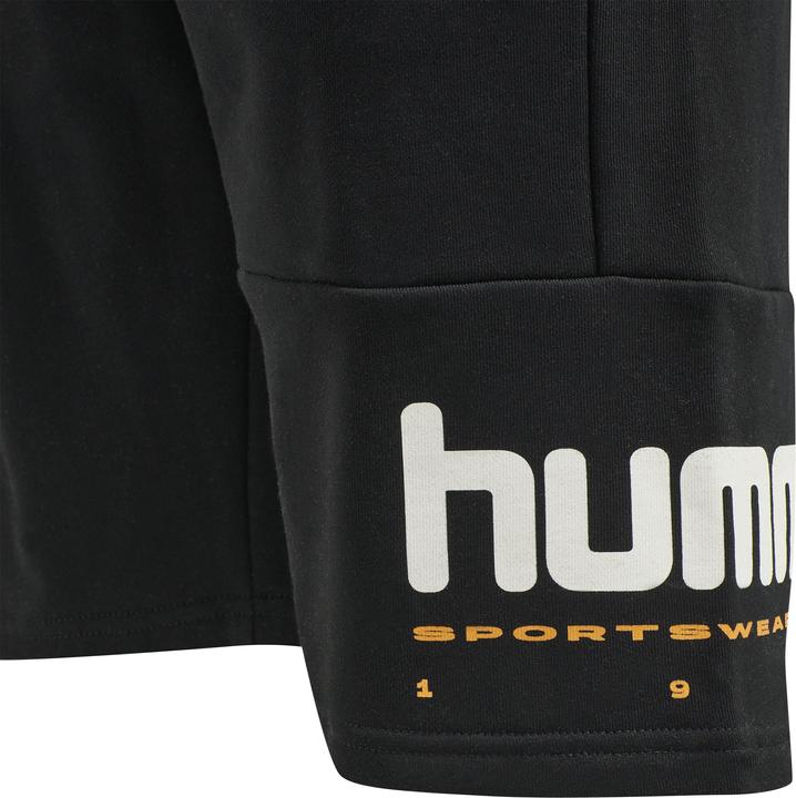 Produktbild hummel Lgc Manfred Shorts (L)