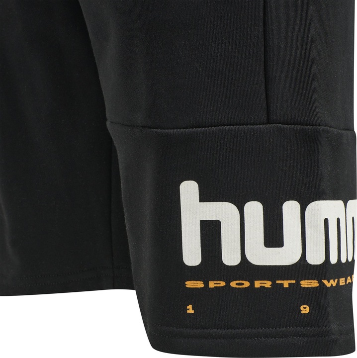Actual product image hummel Lgc Manfred Shorts (L)