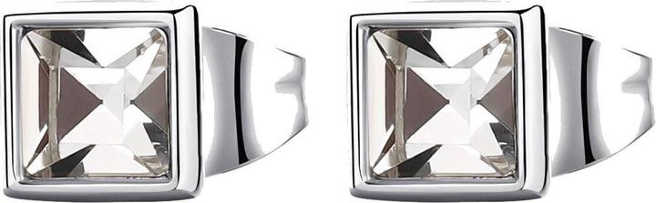 Image du produit Brosway Belles boucles d'oreilles en acier Emphasis BEH22