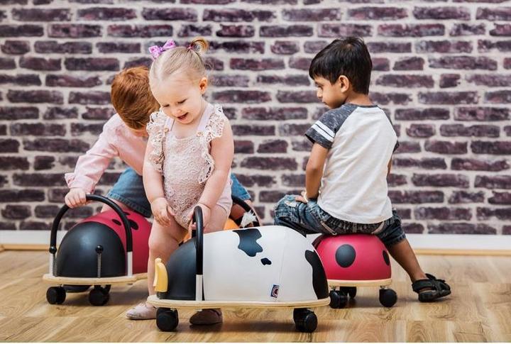 Actual product image Wheely Bug Ladybird small