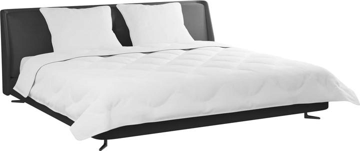 Image du produit vidaXL Mikrofaser-Bettdecke (240 x 200 cm)