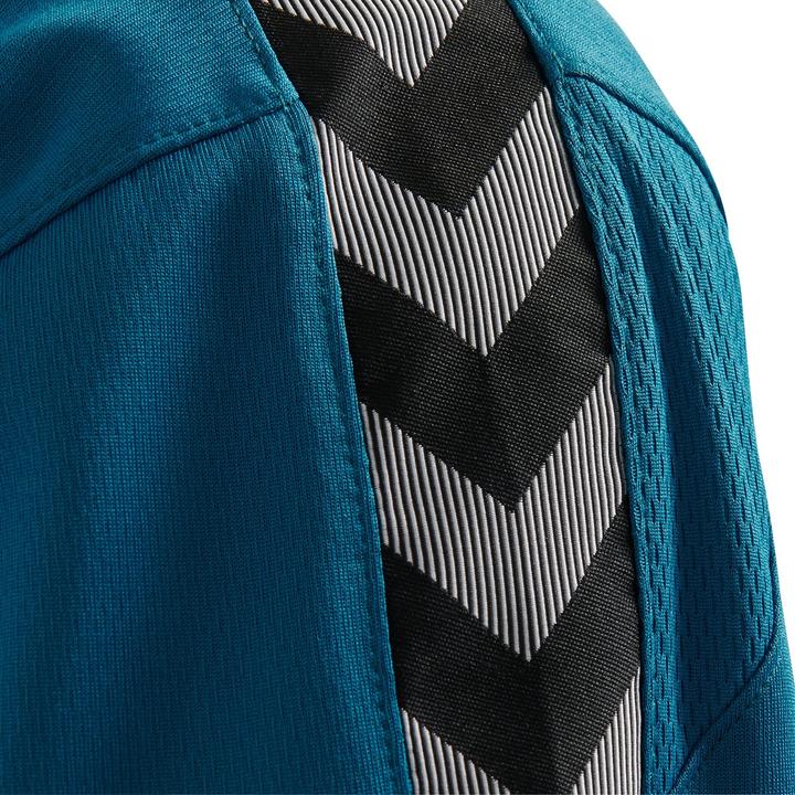 Image du produit hummel Authentic Poly Jersey L/S (S)