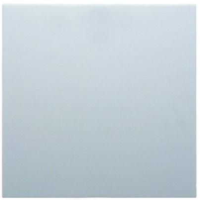 Produktbild Berker Wippe