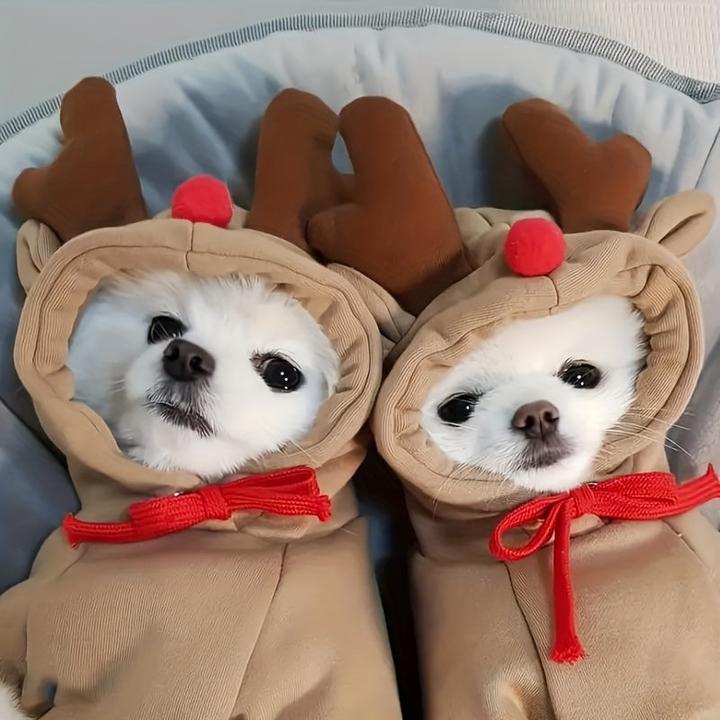 Actual product image Alopini Cosy reindeer hoodie in apricot for small to medium-sized dogs & cats - Festive (S, Dog jumper)