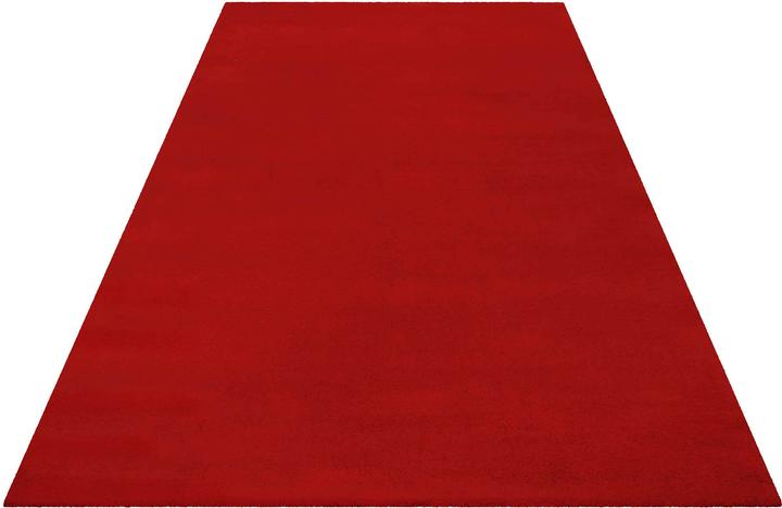 Actual product image Esprit Greenwood Rug (90 x 160 cm)
