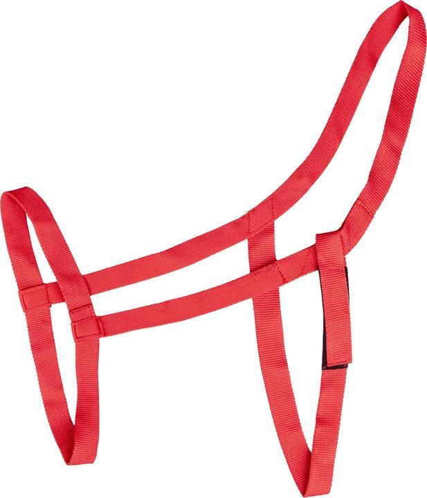 Image du produit Waldhausen Licou de pâturage