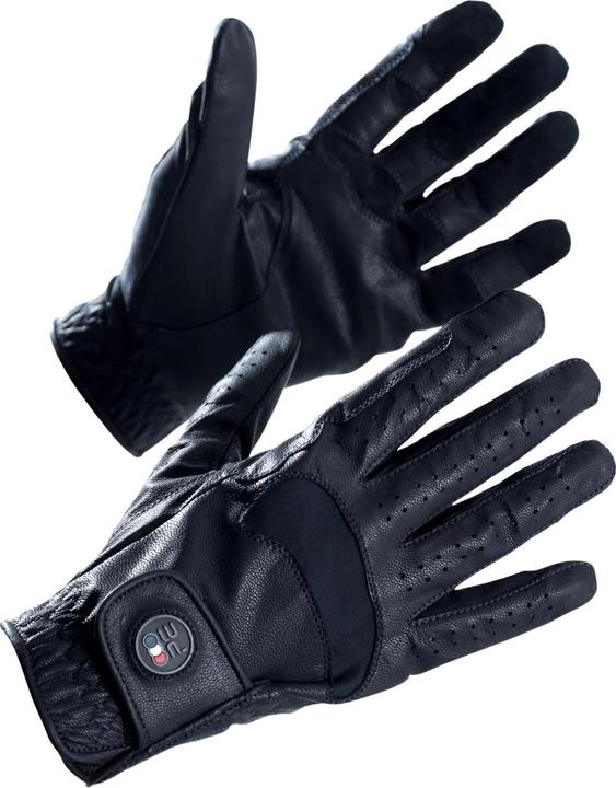 Premier Equine Mizar