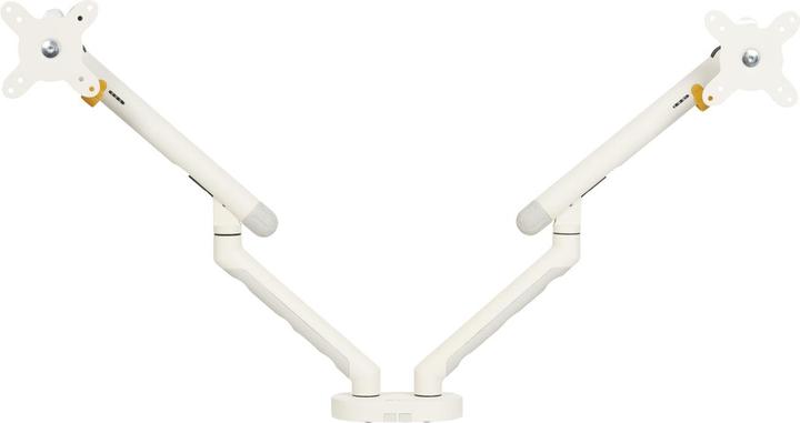 Bakker Elkhuizen BNEBFDW BAKKER BE Flexible monitor arm (Table, 35", 10 kg)