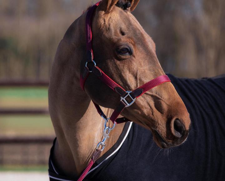 Produktbild HFI Master Néoprène Smart