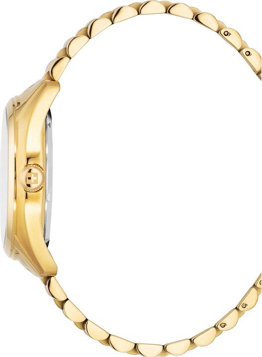 Image du produit Swiss Alpine Military 7091.2117 Herrenuhr Automatik 43mm 10ATM (Montre analogique, 43 mm)