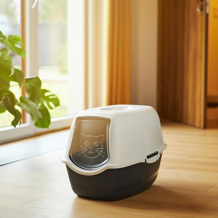 Actual product image Rotho Bailey Eco (Cat litter box closed)