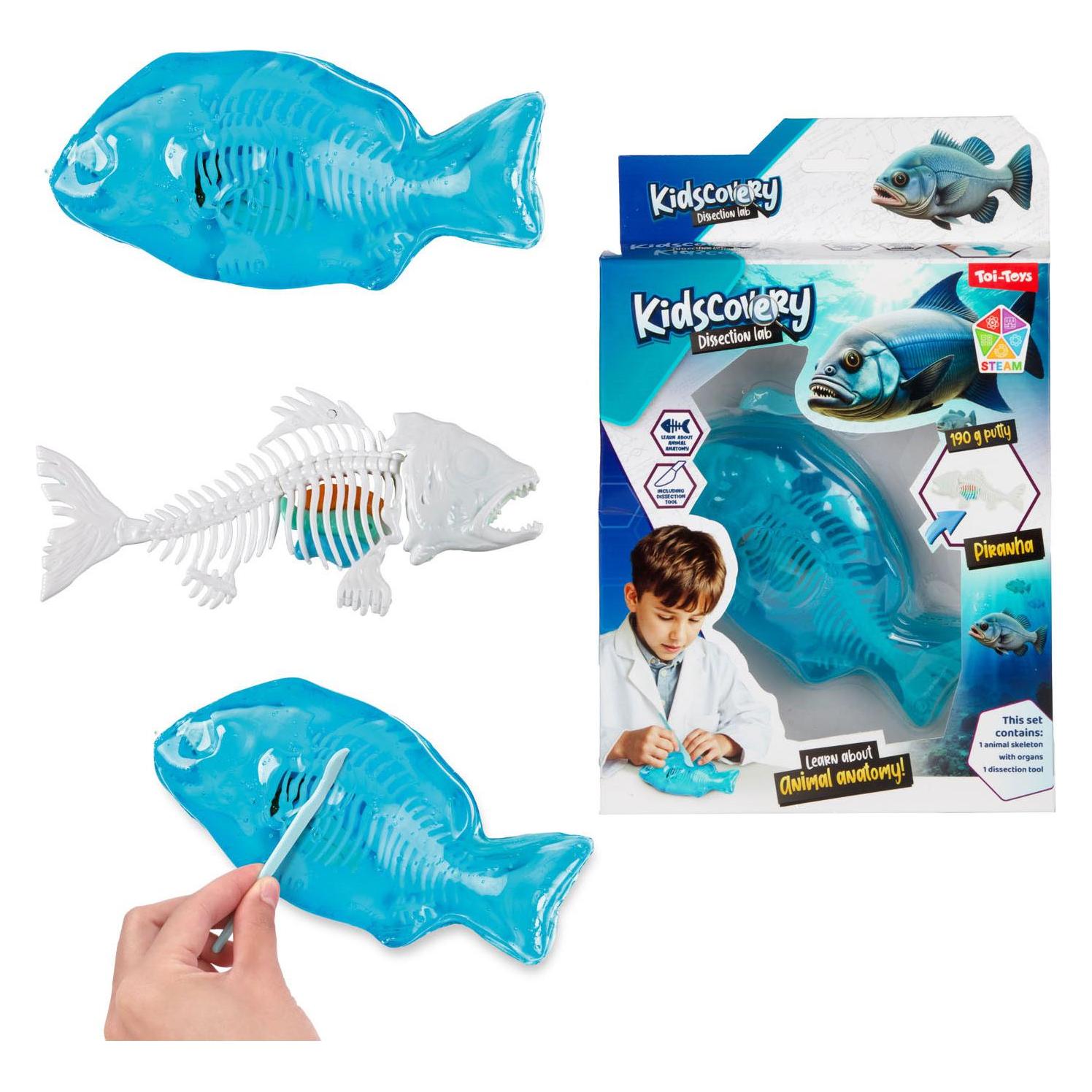 Toi-Toys Kidscovery Schleim Skelett Tier (68071221)