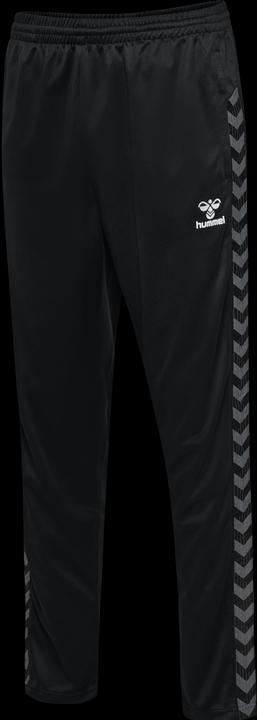 Actual product image hummel Hmlauthentic Pl Pants (M)