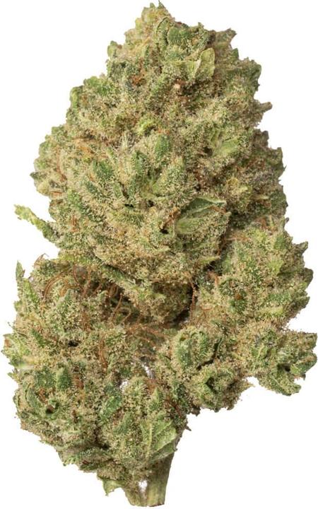 Produktbild Hi Lab Silver Haze (4 g, Indoor)