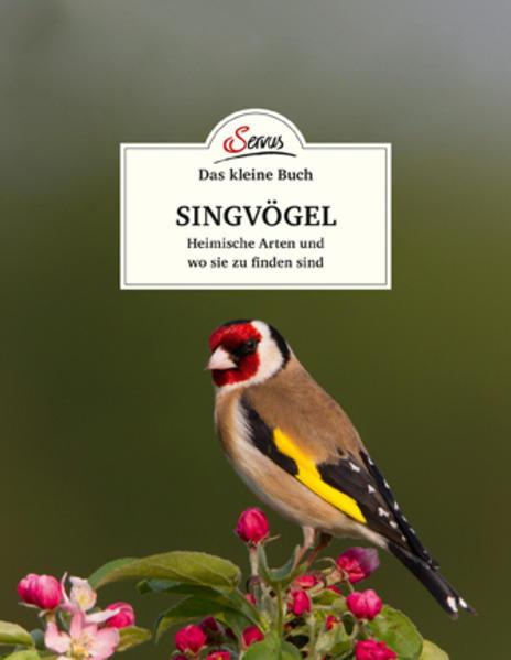 Produktbild Das kleine Buch: Singvögel (Deutsch, Klaus Kamolz, 2018)