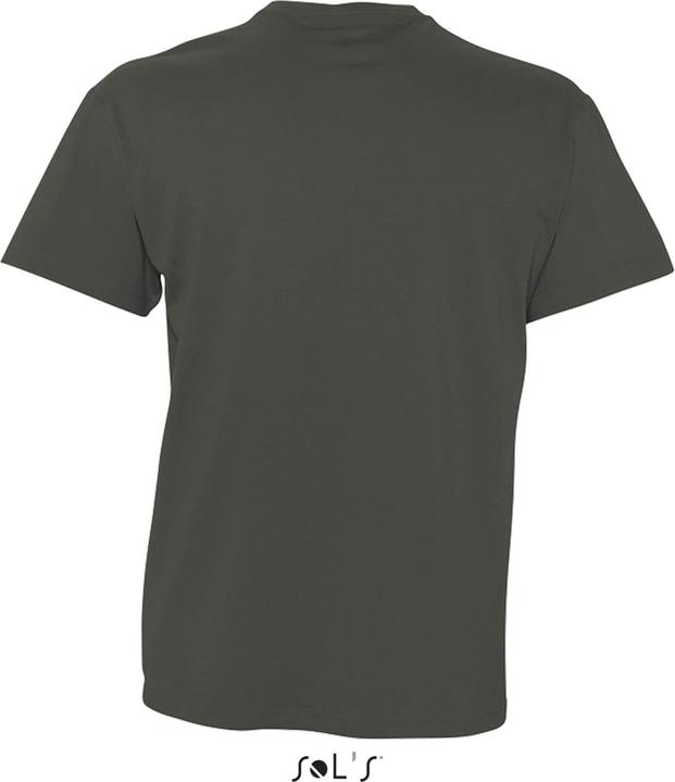 Produktbild Sol's Victory (L)