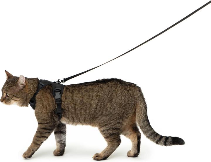 Produktbild LucyBalu EXPLORER Katzengeschirr (XS, S, Katze, Allgemein)