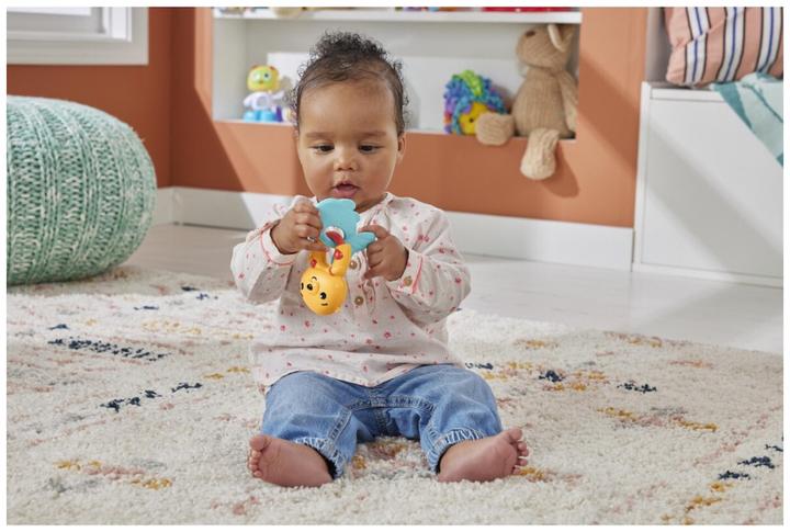 Image du produit Fisher-Price HKD69