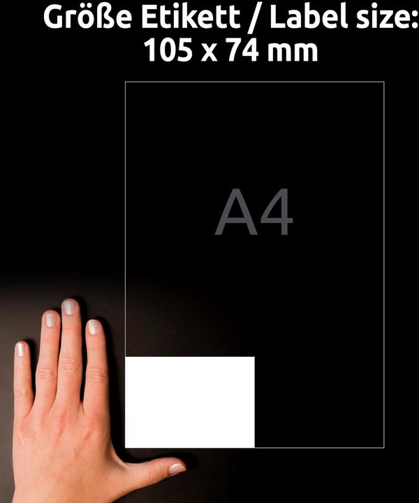 Image du produit Avery Étiquettes en film ultra-résistant
