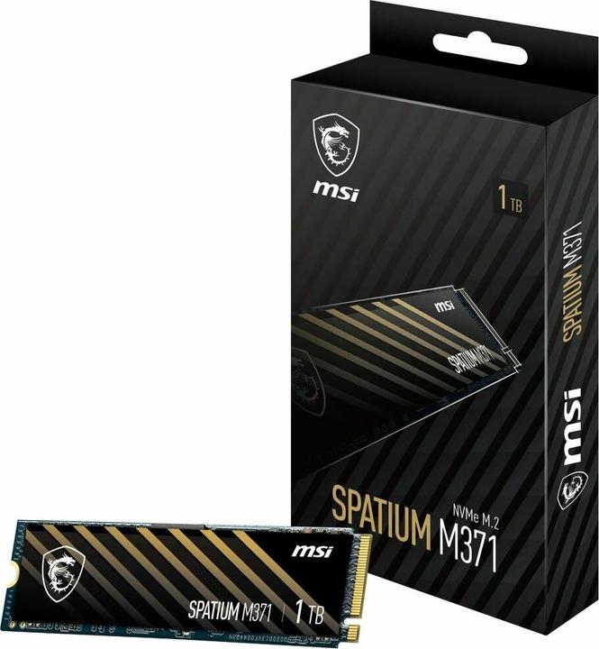 Actual product image MSI M371 NVMe M.2 (1000 GB, M.2 2280)