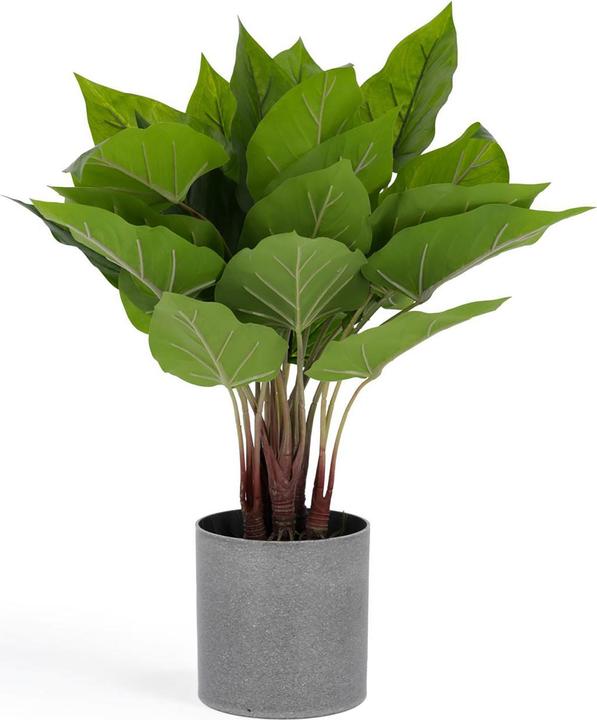 Kave Home Anthurium (50 cm)