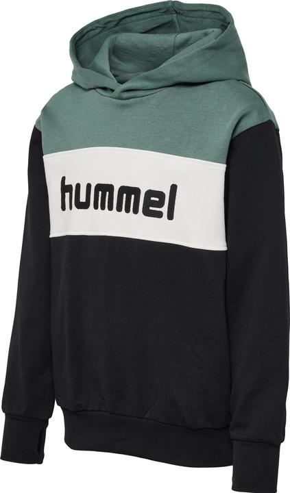 Actual product image hummel hmlMORTEN HOODIE (176)