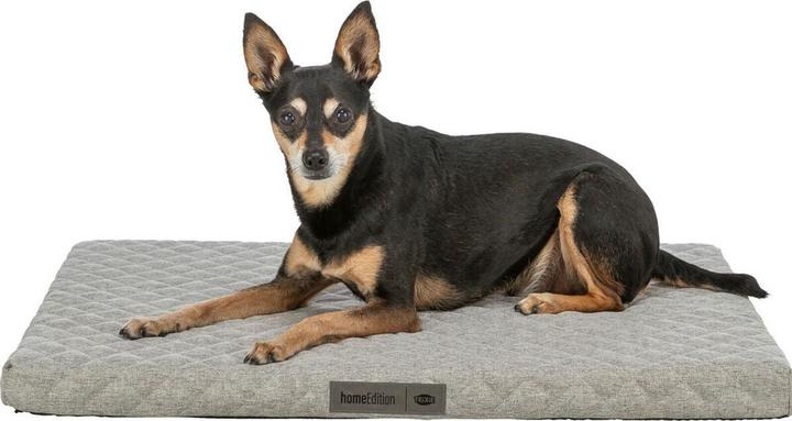 Produktbild Trixie Noah Vital mattress, square, 50 × 35 cm, light grey (Hund, Katze)