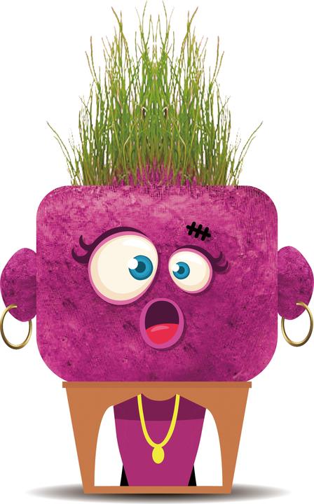 Multicoloured, Violet