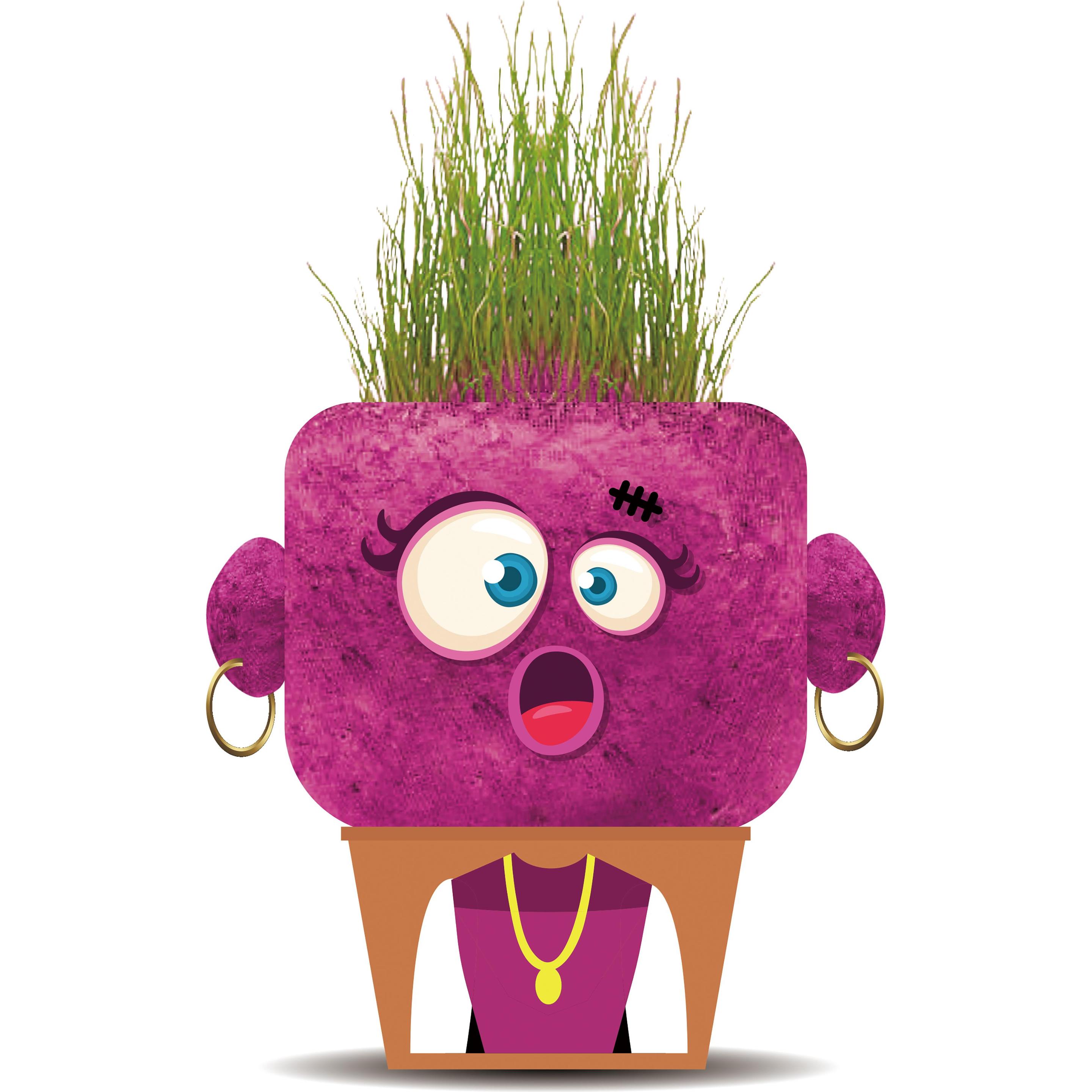 Hape Plant Pals-Astonished Monsters