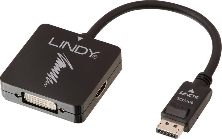 Productafbeelding Lindy DisplayPort naar (HDMI, DVI, VGA, 20 cm)