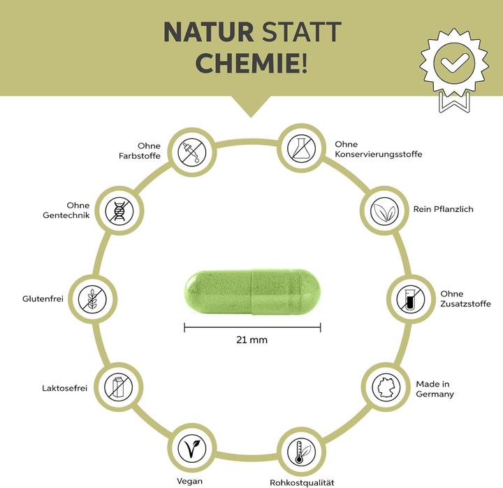 Actual product image Eltabia Organic Moringa capsules | 100% pure without additives (1000 Piece, Capsules)