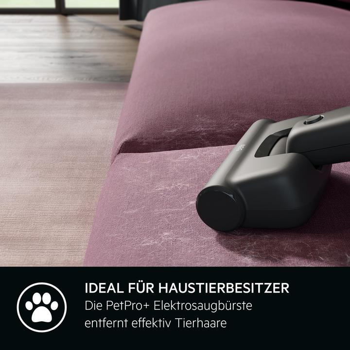 Produktbild AEG Akku-Staubsauger AS62A252XN 900402083