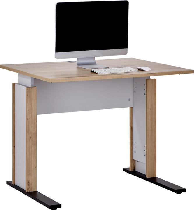 Lipo Bureau K9 (100 x 80 x 71.50 cm)