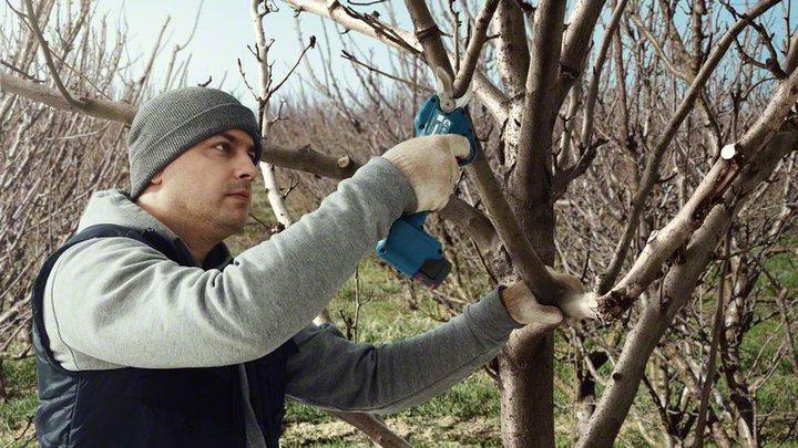 Actual product image Bosch Professional Pro Pruner